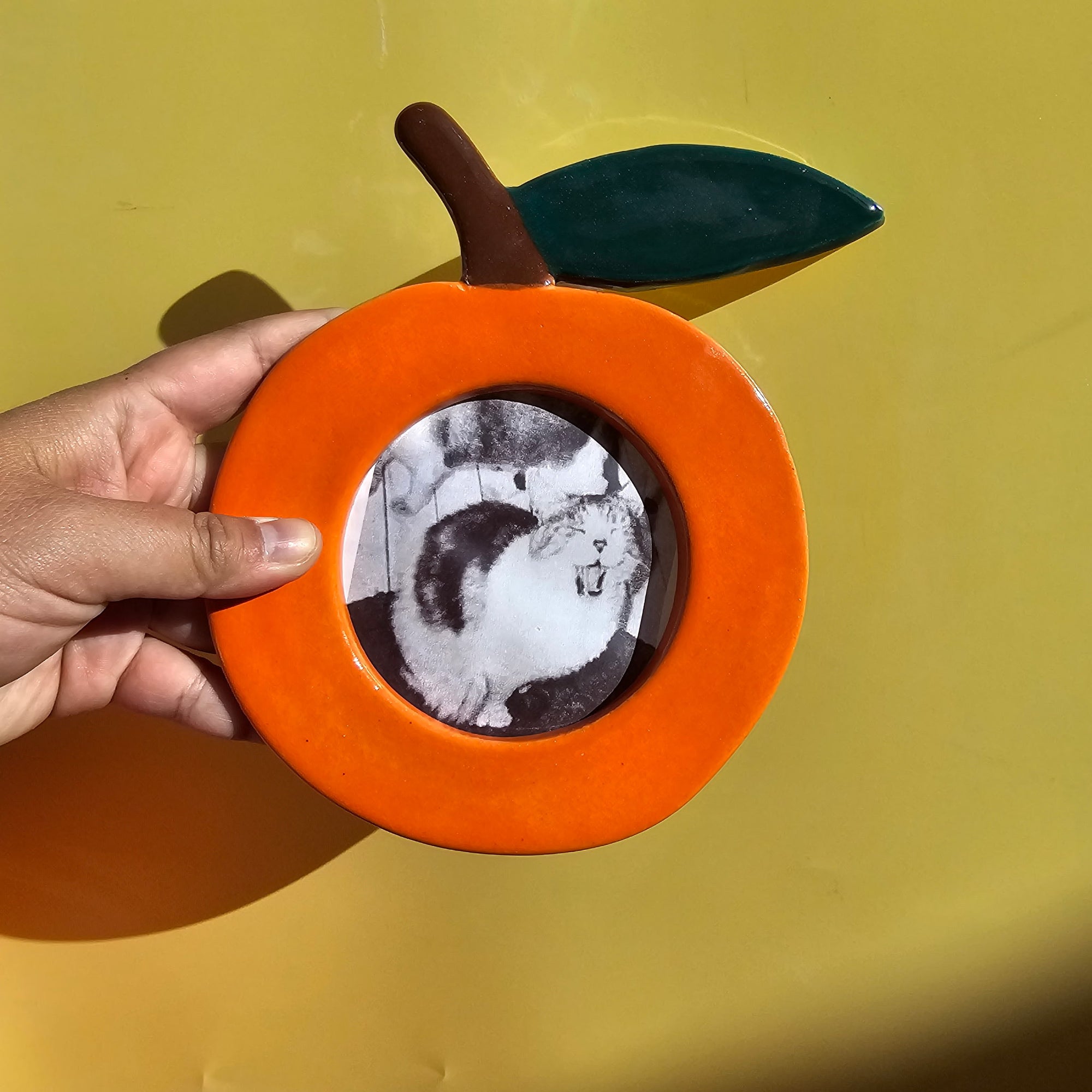 ORANGE PICTURE FRAME *