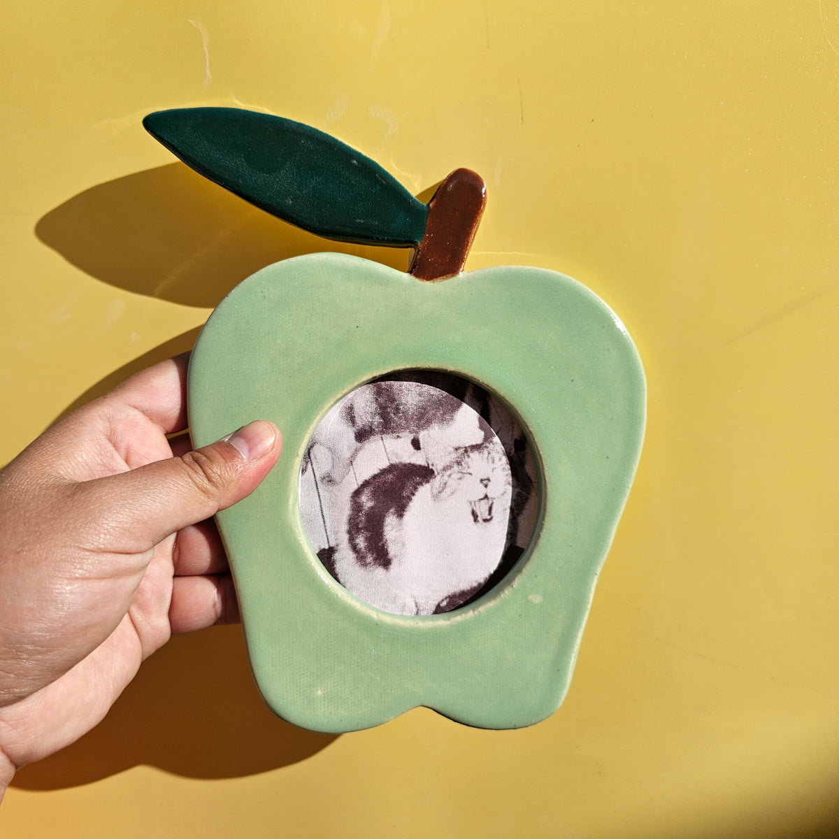 APPLE PICTURE FRAME *