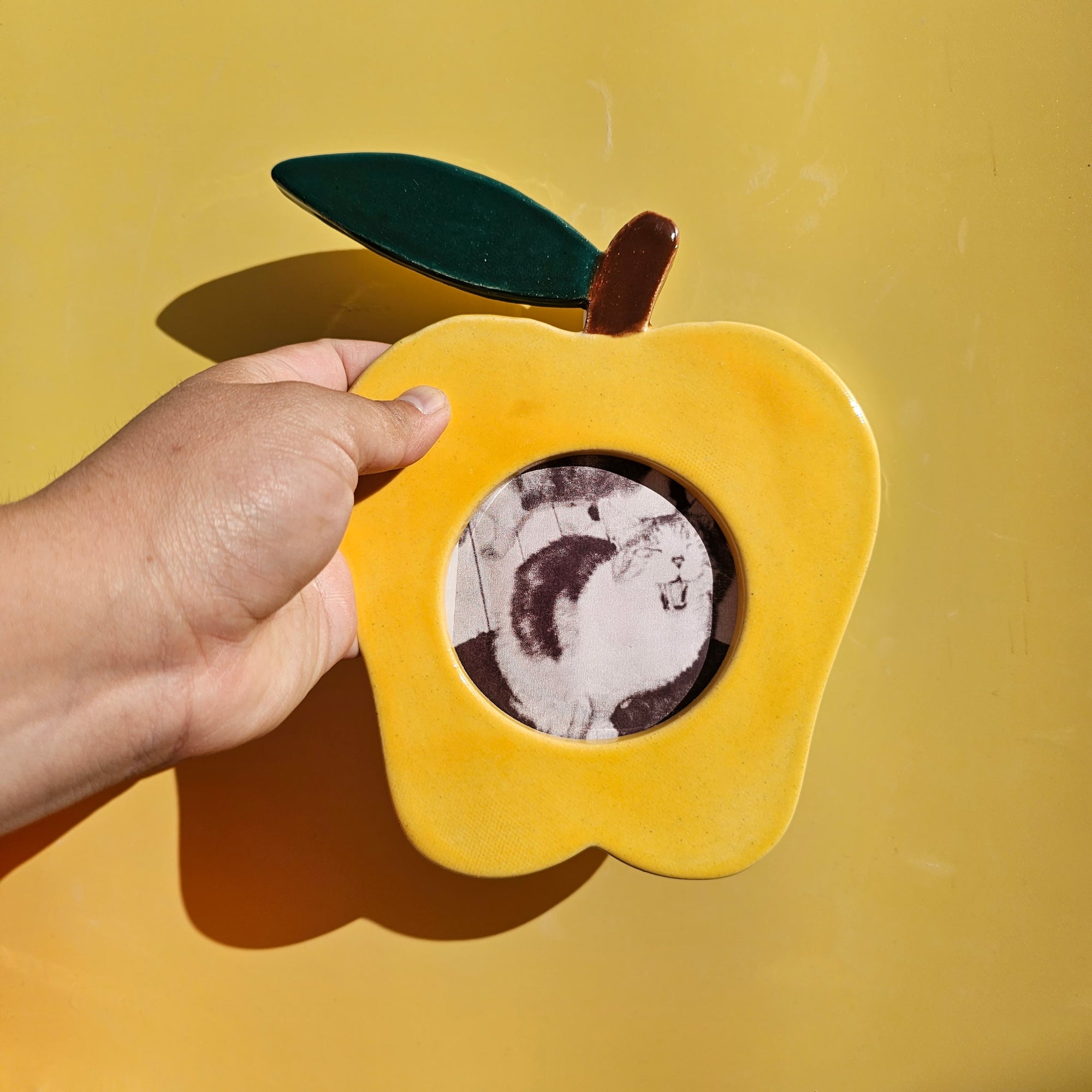APPLE PICTURE FRAME *